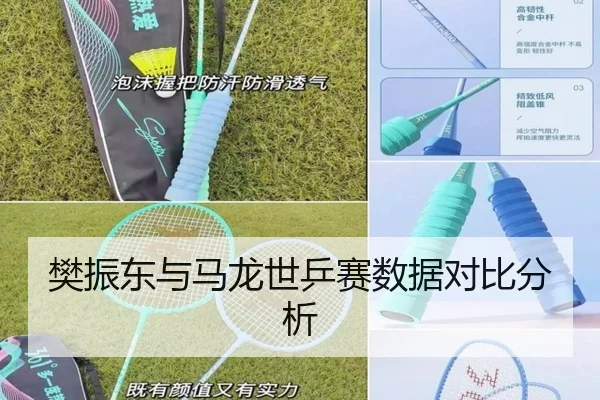 樊振东与马龙世乒赛数据对比分析